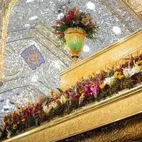 عکس/گل‌آرایی ضریح نورانی سیدالشهدا برای ولادت مادر سادات