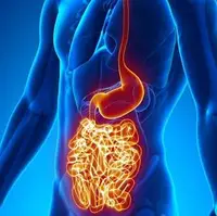 غذاهای مفید برای افرادی که دچار عارضه روده نشت پذیر هستند