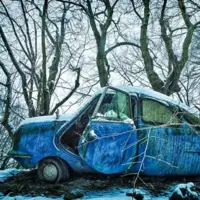 گوناگون/زیبایی وهم‌آلود خودروهایی که به تصرف طبیعت درآمده‌اند