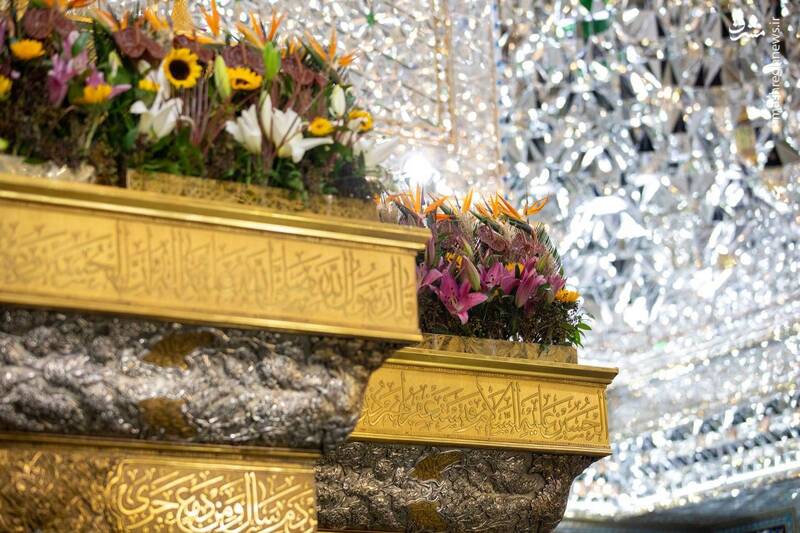 عکس/گل‌آرایی ضریح نورانی سیدالشهدا برای ولادت مادر سادات