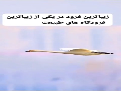 زیباترین فرود در یکی از زیباترین فرودگاه های طبیعت