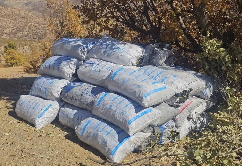 محموله ۲۲ تنی زغال بلوط در الیگودرز توقیف شد