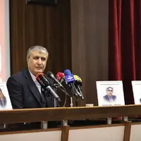 رئیس سازمان انرژی اتمی: باید با رعایت چارچوب‌های آژانس از طرح اتهام عدول از ضوابط جلوگیری کنیم