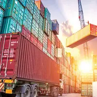 سود کلان واردکنندههای عمده از ارز ترجیحی