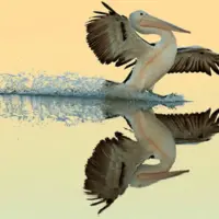 خطر شیوع آنفلوآنزای فوق‌حاد پرندگان در هرمزگان