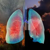 آلودگی هوا هم مثل سیگار باعث ایجاد سرطان میشود