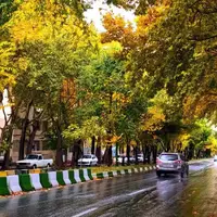 بارش پاییزی ۱۲ استان کشور را باطراوت کرد