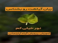 زبان گیاهت رو بشناس