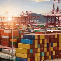 محموله گوشت و برنج وارداتی با ارز آزاد وارد سیستان و بلوچستان شد