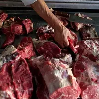توزیع گوشت گرم وارداتی تنظیم‌بازار در مشهد آغاز شد