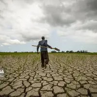 گلستان ۲۰۰ کیلومتر دیوار سبز در مرز ترکمنستان میکارد