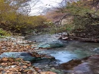 با این وصیت امیرالمومنین(ع) هیچ زیانی نمی‌بینی