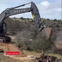 اشغالگران، ثمره چندین ساله کشاورزان فلسطینی را در جلوی چشمانشان از بین بردند