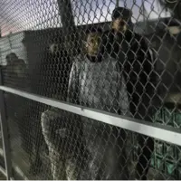 اسرای فلسطینی که با گذراندن دوره محکومیت هم آزاد نمی‌شوند