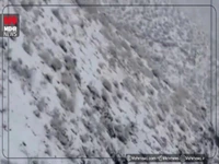 فیلم/ بارش برف در جاده کندوان