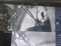 زورگیری و قمهکشی در بلوار دانشجو مشهد