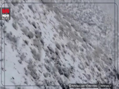 فیلم/ بارش برف در جاده کندوان