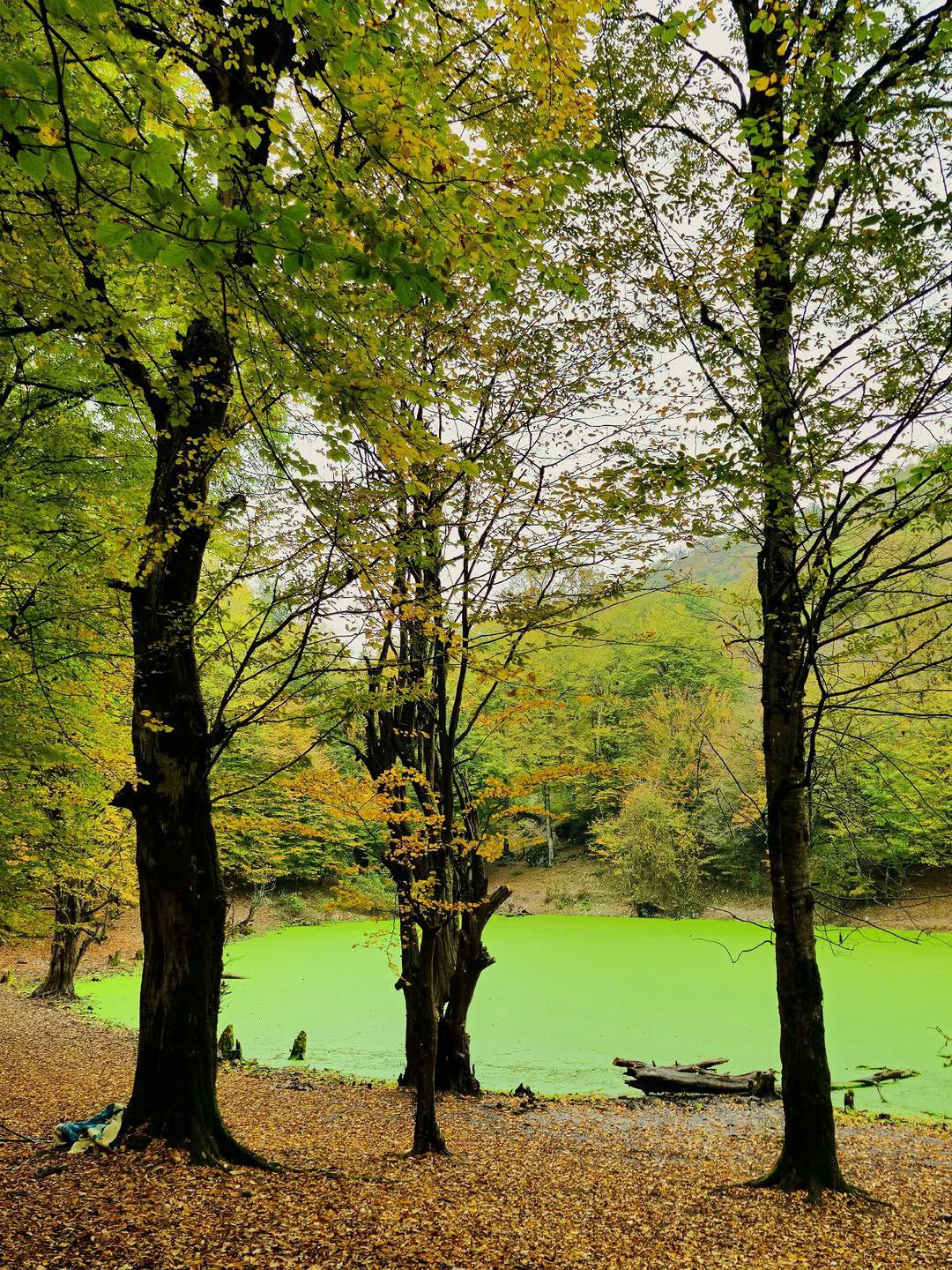 مرداب هسل در مازندران