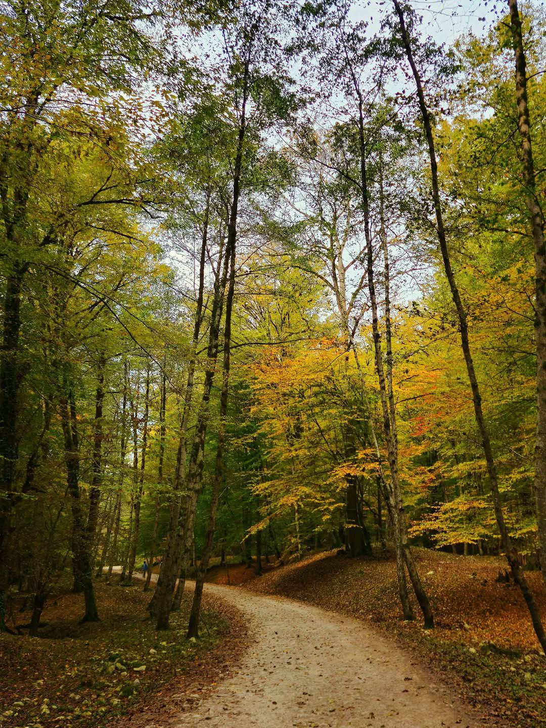 مرداب هسل در مازندران