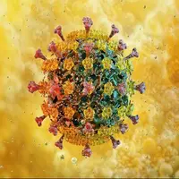 نیازی به تعطیلی فوری مدارس قزوین بهدلیل آنفلوآنزا نیست