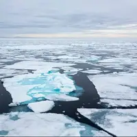 چرا انسان‌ها نمی‌توانند در قطب شمال زندگی کنند؟