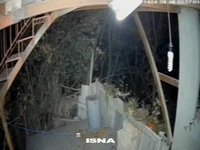 ورود خرس به منزلی مسکونی در خطیرکوه استان سمنان ختم به خیر شد