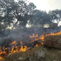 انتقاد نمایندگان از گزارش آتش‌سوزی جنگل‌های هیرکانی