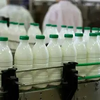 رئیس اتحادیه فرآوردههای لبنی: فقط در سه ماه ۱۳۰ درصد افزایش قیمت شیر داشتهایم