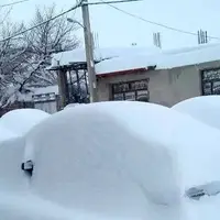 تصاویر دیدنی از برف امروز اردبیل