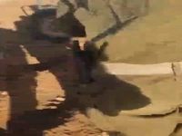 حمله شهرکنشین مسلح به کشاورزان فلسطینی در جنوب الخلیل