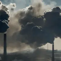 جهش ۱۳۸ درصدی مازوتسوزی در آذر