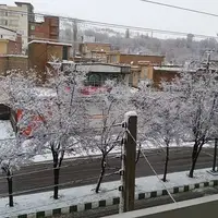 تصاویری از آغاز بارش برف در اشنویه