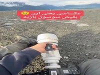 تصاویر زیبایی از یک عقاب سر سفید