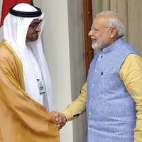 جولان فیلها در خلیجفارس