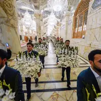 عکس/ گل‌آرایی ضریح امیرالمومنین(ع) به‌مناسبت ولادت حضرت زهرا(س) 