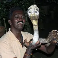 دوستی عجیب مرد هندی با مار کبری