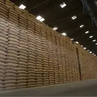 آغاز عرضه برنج پاکستانی در بازار خراسان رضوی از 10 روز آینده