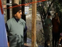 پیتزاها له شدن!