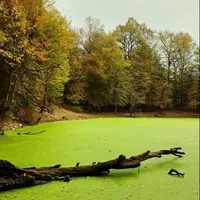 مرداب هسل؛ مازندران