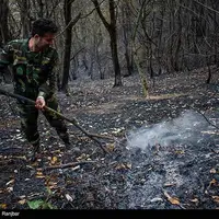 آتشسوزیهای محدود در جنگلهای شرق گلستان خاموش شد