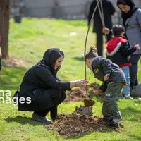 پویش درختکاری «در سایه مادر» در ۹ شهرستان خراسان جنوبی اجرا میشود