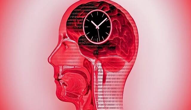 «فستینگ» موجب تغییرات پویا در مغز میشود