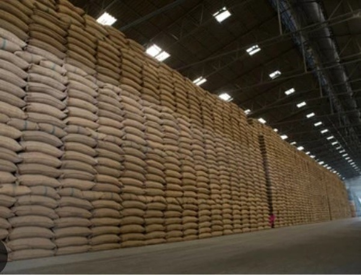 آغاز عرضه برنج پاکستانی در بازار خراسان رضوی از 10 روز آینده