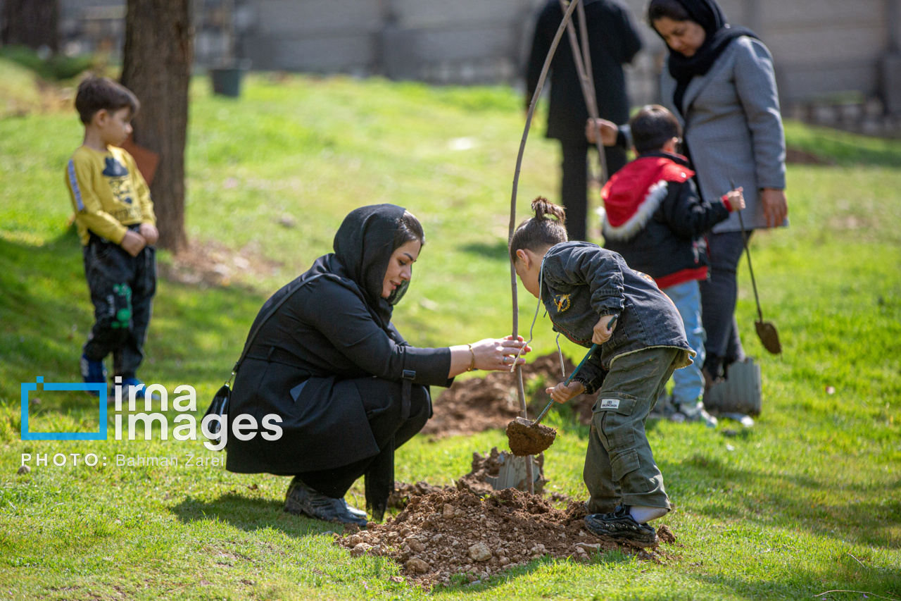 پویش درختکاری «در سایه مادر» در ۹ شهرستان خراسان جنوبی اجرا میشود