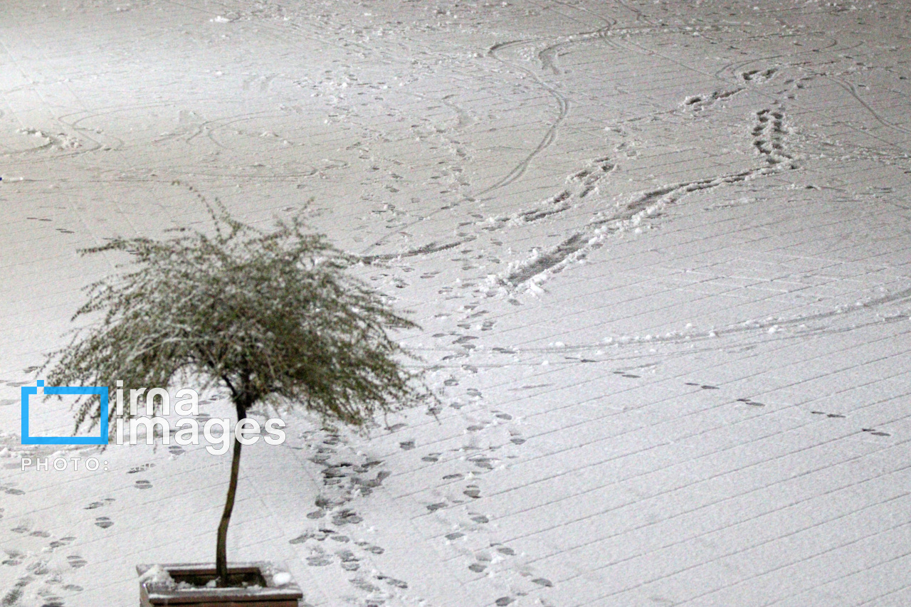 عکس/ بارش اولین برف پاییزی در زنجان