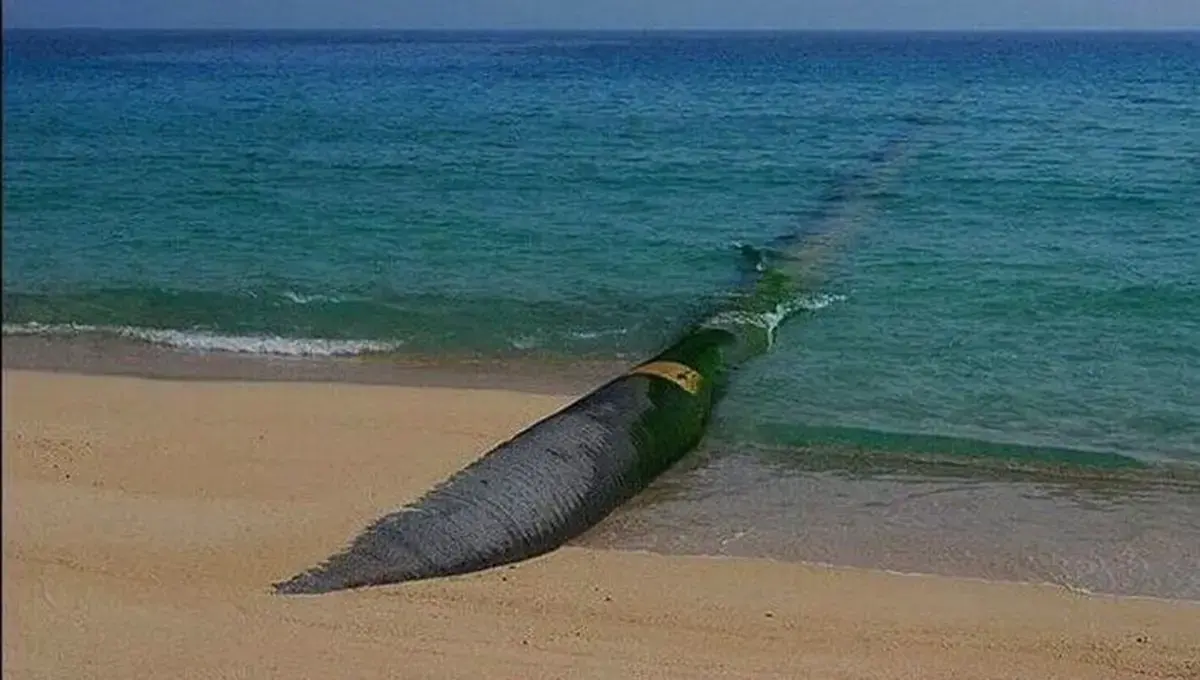 رئیسجمهور: انتقال آب دریا به فلات مرکزی اقدامی اضطراری برای حفاظت از زایندهرود بود