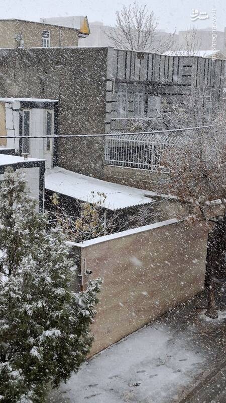 عکس/بارش برف پاییزی در تویسرکان