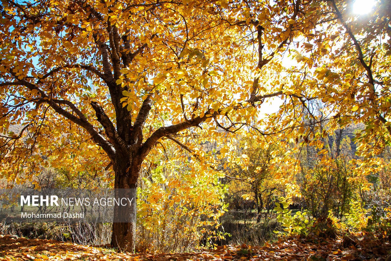 طبیعت پاییزی مسیر نمین - عنبران