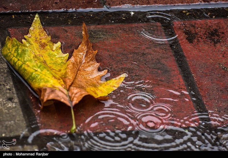  پربارش‌ترین نقاط خوزستان کجا بود؟