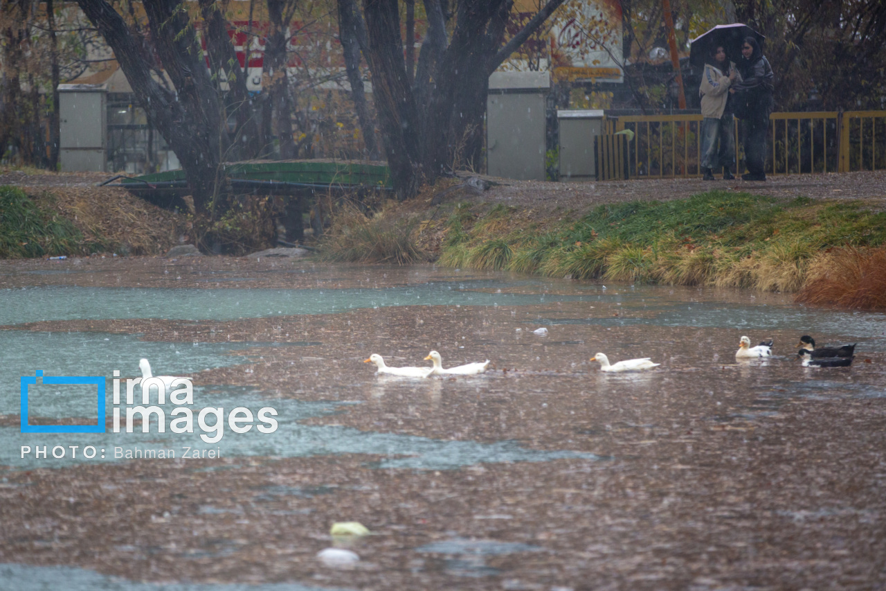 بارش باران پاییزی در کرمانشاه
